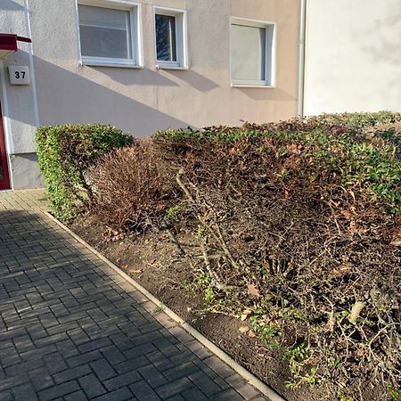 Mycha Ferienwohnung Гослар Экстерьер фото