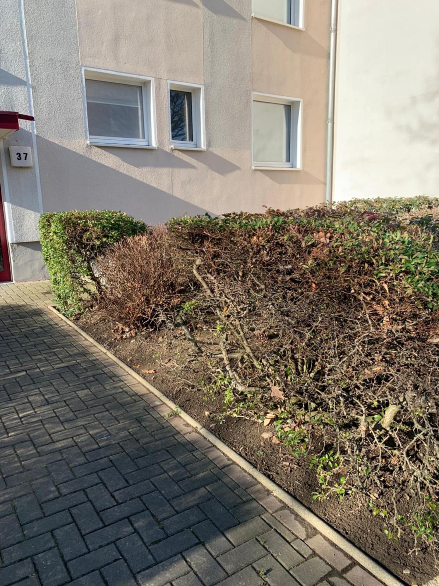 Mycha Ferienwohnung Гослар Экстерьер фото